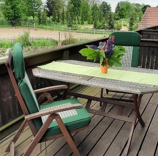 Schönermarker Pferdeparadies Niederlandin